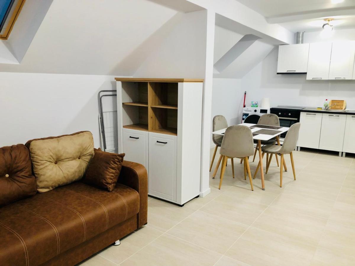 New And Modern Apartments In Villa, Near City Center M36 Тимишоара Экстерьер фото