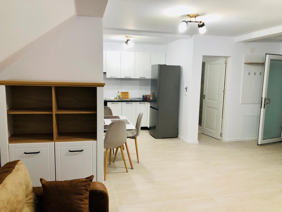 New And Modern Apartments In Villa, Near City Center M36 Тимишоара Экстерьер фото