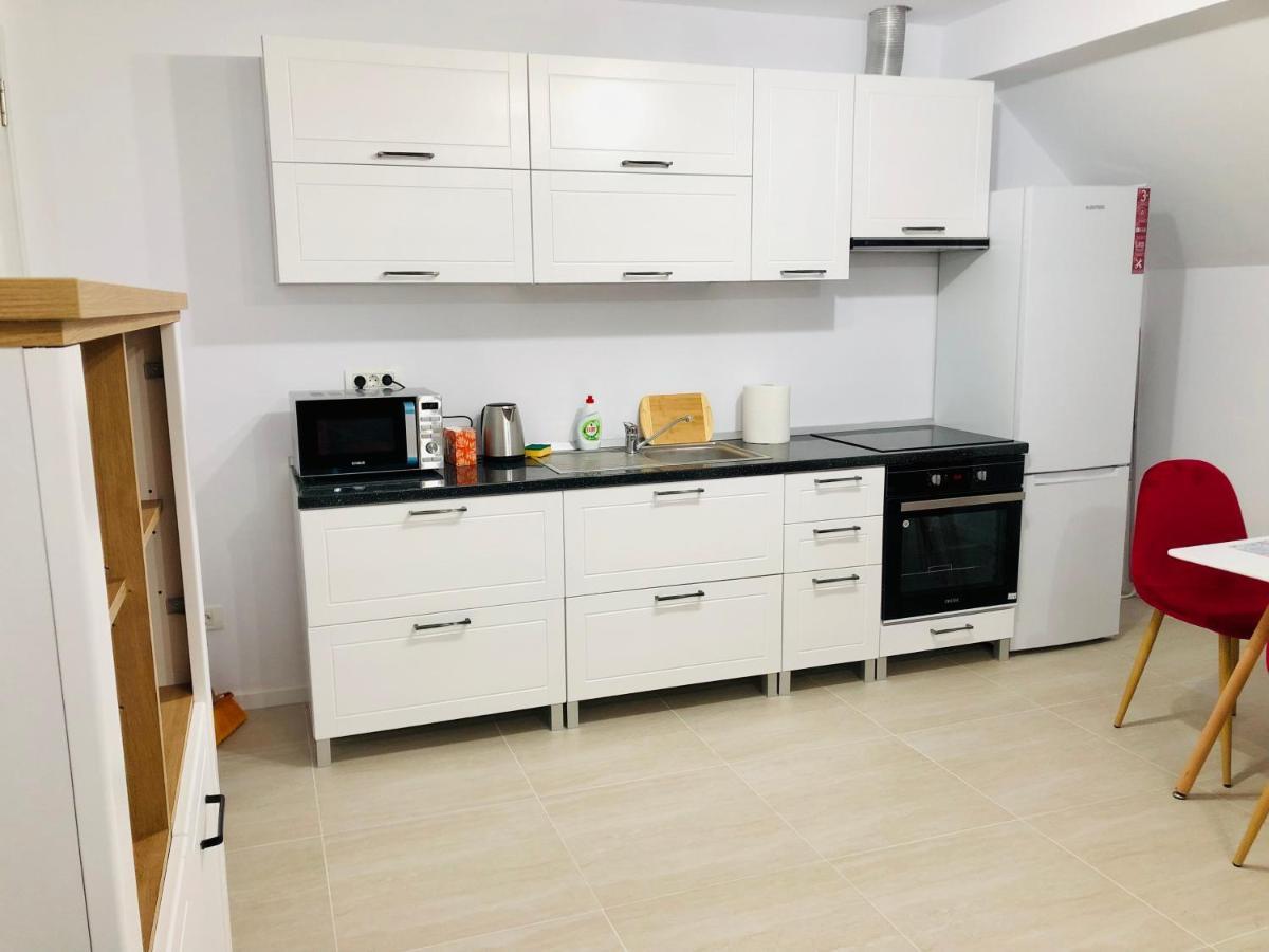 New And Modern Apartments In Villa, Near City Center M36 Тимишоара Экстерьер фото