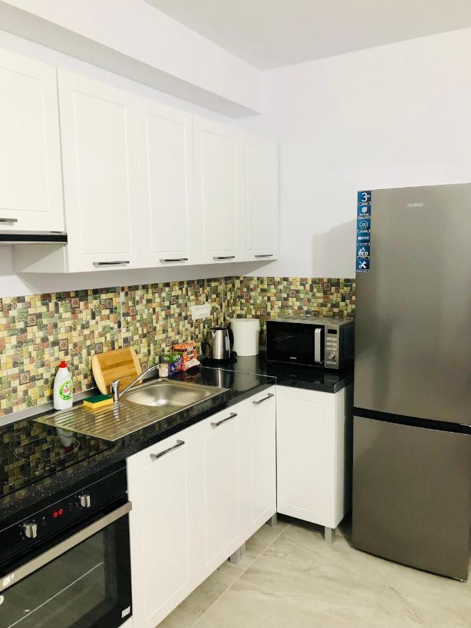 New And Modern Apartments In Villa, Near City Center M36 Тимишоара Экстерьер фото